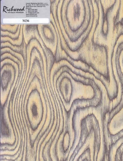 Veneer species 9
